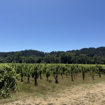 Amista Vineyards - Wine Tours Near Me - Healdsburg, California Amista Vineyards - Wine Tours Near Me - Healdsburg, California