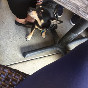 RJ's Cafe - Dog friendly patio! - Breakfast & Brunch Near Me - Dana Point, California