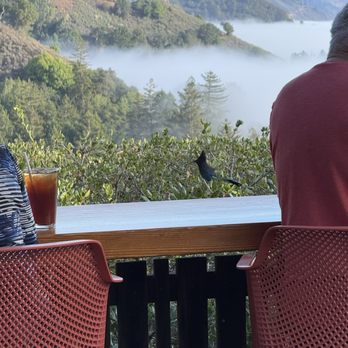 Nepenthe - New American Near Me - Big Sur, California