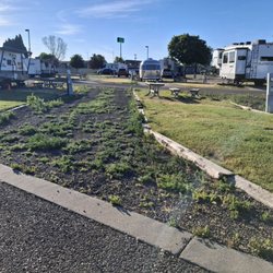 Weeds and poorly maintained site
