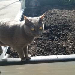 West Marin Compost