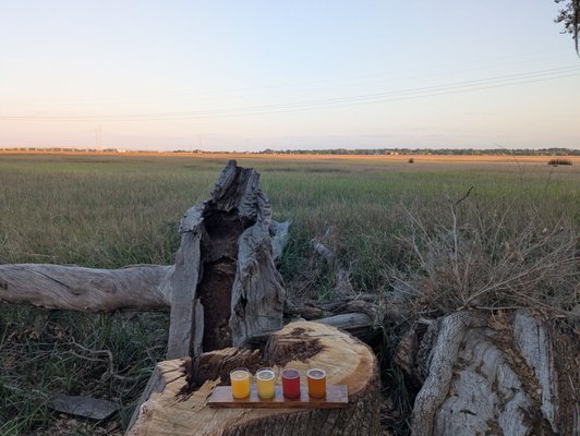 Freehouse Brewery by null