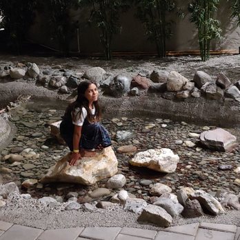 Coast Kamloops Hotel & Conference Centre - Our Granddaughters loved it! - Hotels Near Me - Kamloops, British Columbia