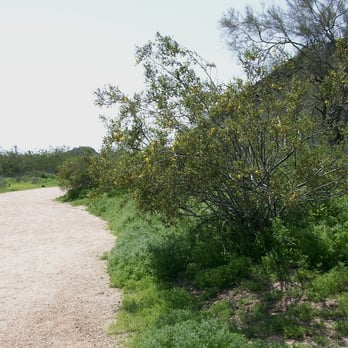 Deer Valley Petroglyph Preserve - Landmarks & Historical Buildings Near Me - Phoenix, Arizona