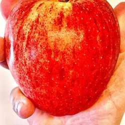 Red Apple Markets