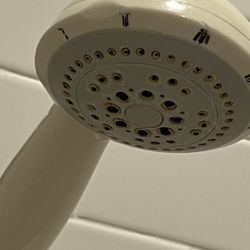 Spa Oceana -The Don Cesar - Gross mold