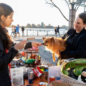 Wooftown - Paws for Happy Hour! - Pet Stores Near Me - New York, New York Wooftown - Paws for Happy Hour! - Pet Stores Near Me - New York, New York