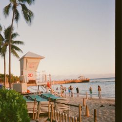 Treehouse - Ektar 100