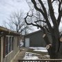 Photo of Gest Pro Tree Service