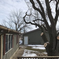 Gest Pro Tree Service - Tree trimming