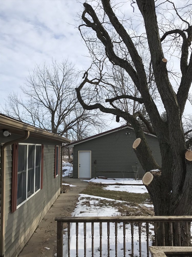 GEST PRO TREE SERVICE 18 Photos bug, Sturgis, Michigan Tree