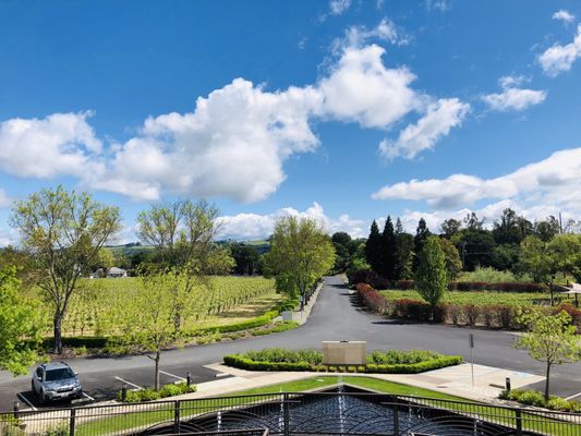 Rodney Strong Vineyards by null