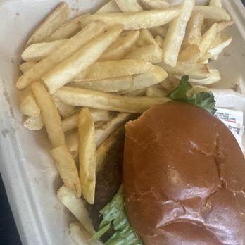 Twisted Root - Dry Burger and dry soggy fries. - Burgers Near Me - Dallas, Texas