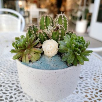 Pigment - Our creation! - Home Decor Near Me - San Diego, California Pigment - Our creation! - Home Decor Near Me - San Diego, California