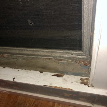 Kennebunk Inn - Chipped paint, dried leaves inside, doesn't open! - Hotels Near Me - Kennebunk, Maine