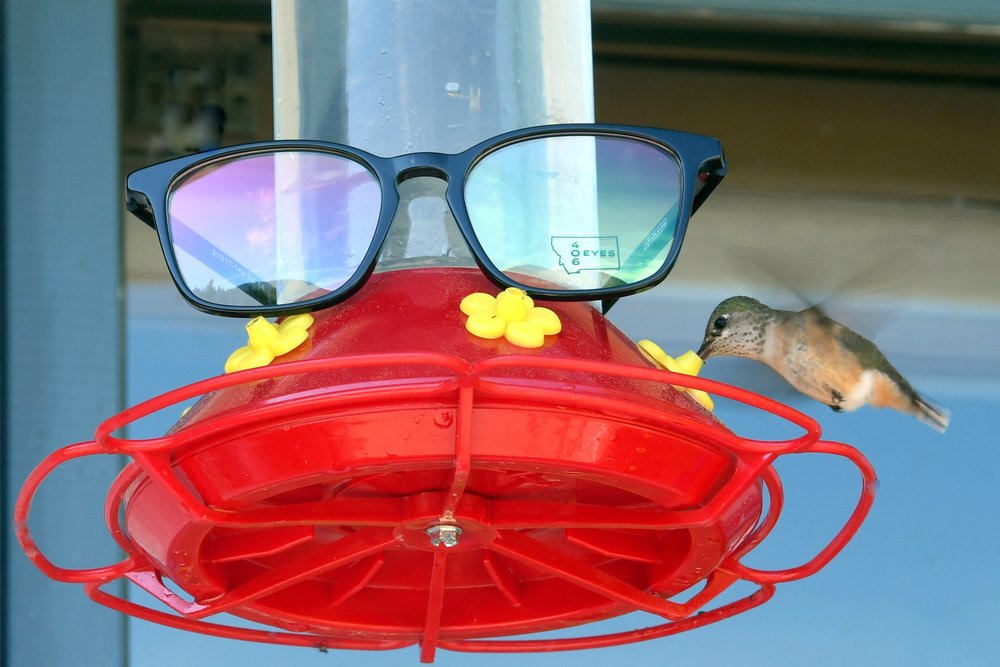 406 ROLLIN’ EYESOPTICAL SHOP 928 Broadwater Ave, Billings, Montana