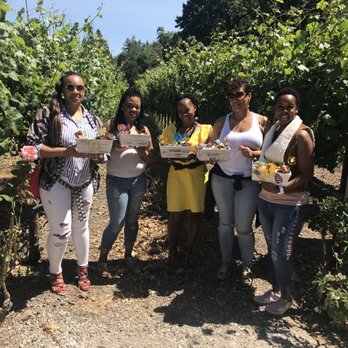 TwiningVine Winery - Succulents, rose and Chardonnay - Wineries Near Me - Castro Valley, California