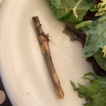 Urth Caffe - Not very exciting to find rotten piece of straw in your salad! - Coffee & Tea Near Me - Laguna Beach, California Urth Caffe - Not very exciting to find rotten piece of straw in your salad! - Coffee & Tea Near Me - Laguna Beach, California