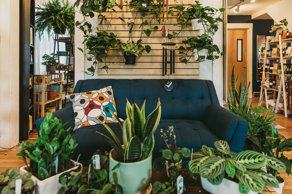 LIVINGSCAPE NURSERY Updated June 2024 42 Photos & 38 Reviews 3926