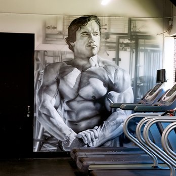 Flex Gym - Gyms Near Me - Woodland Hills, California Flex Gym - Gyms Near Me - Woodland Hills, California
