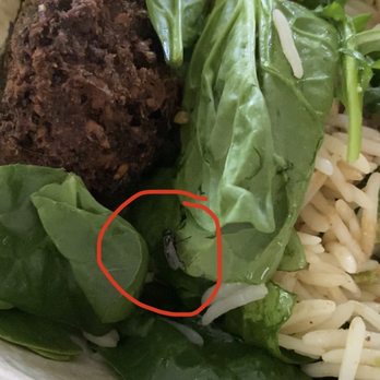 mezeh - Fly crawled out from under the spinach leaf. - Mediterranean Near Me - Fairfax, Virginia