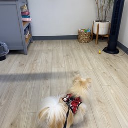 Our wait in the exam room. She wants to play with the toys HVH provides in the little basket.