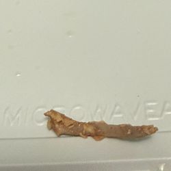 Bone in the chicken enchiladas
