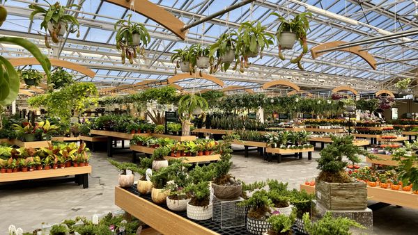 Hicks Nurseries Inc. Jericho Turnpike Westbury Ny HICKS NURSERIES - Updated June 2025 - 862 Photos & 251 Reviews - 100