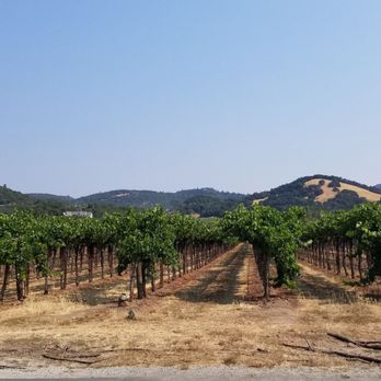 Sonoma Adventures - Biking through Sonoms - Bike Rentals Near Me - Sonoma, California