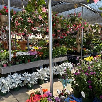 Plant Safari - Exterior Entrance - Nurseries & Gardening Near Me - Upland, California Plant Safari - Exterior Entrance - Nurseries & Gardening Near Me - Upland, California
