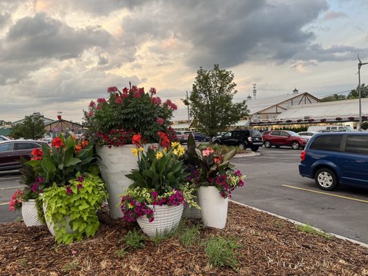 Horrocks Farm Market by null