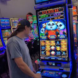 Red Dolly Casino - Billy plays a panda slot
