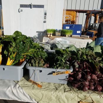 Rhibafarms - Specialty Food Near Me - San Tan Valley, Arizona