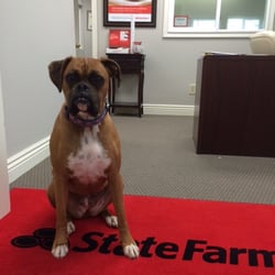 Nathan Mahlik - State Farm Insurance Agent - Part of the welcoming team, Lede!
