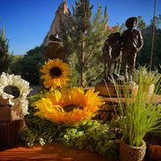 FLYING W RANCH - 163 Photos & 90 Reviews - 3330 Chuckwagon Rd, Colorado