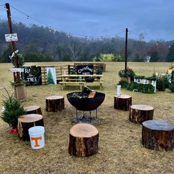 Raise The Tree - Fire pit! Cool stools
