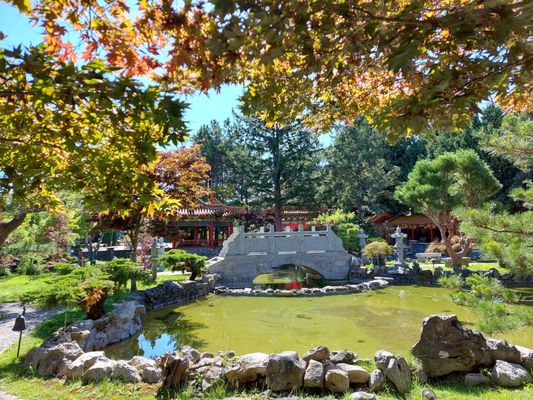 International Buddhist Temple by null