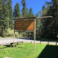 Pack Forest Fall Trail - Entrance