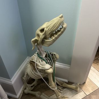 The Haunted Hotel - Cute skeleton - Hotels Near Me - New Orleans, Louisiana The Haunted Hotel - Cute skeleton - Hotels Near Me - New Orleans, Louisiana