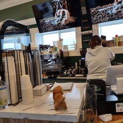 Yigebe Coffee - Orderings countertop.