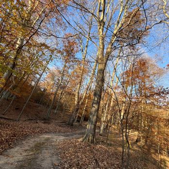 Sand Hollow Winery - a path through the woods - Wine Tasting Room Near Me - Heath, Ohio Sand Hollow Winery - a path through the woods - Wine Tasting Room Near Me - Heath, Ohio