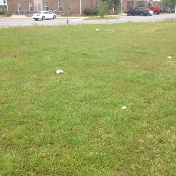 Independence Place - More trash! - Apartments Near Me - Hinesville, Georgia Independence Place - More trash! - Apartments Near Me - Hinesville, Georgia