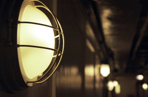 NYK Hikawa Maru by null