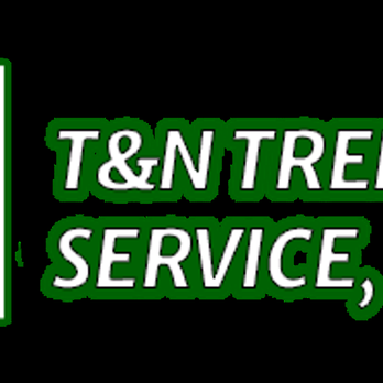 T & N Tree Service - logo - Tree Services Near Me - Montgomery, Massachusetts T & N Tree Service - logo - Tree Services Near Me - Montgomery, Massachusetts
