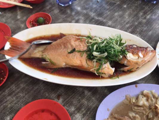 Zai Shun Curry Fish Head by null