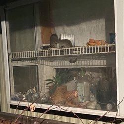 Trailer Haven