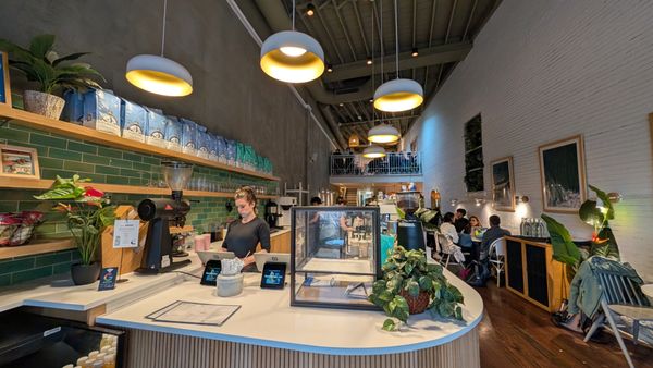 Blue Bottle Coffee by null