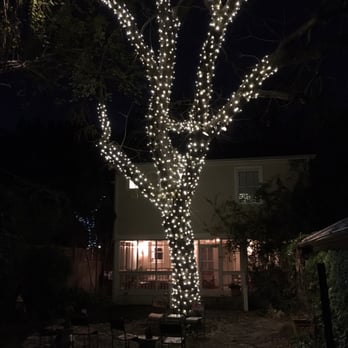 Patriot Lighting Solutions - Large old growth pecan tree transformed! - Lighting Fixtures & Equipment Near Me - Austin, Texas