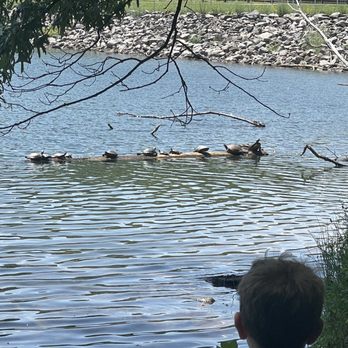 Seneca Creek State Park - Look at all these turtles! - Parks Near Me - Gaithersburg, Maryland Seneca Creek State Park - Look at all these turtles! - Parks Near Me - Gaithersburg, Maryland