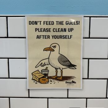 Baygulls Bakery - Bagels Near Me - Tampa, Florida Baygulls Bakery - Bagels Near Me - Tampa, Florida